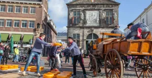 Doe een fijn dagje Gouda! Op de Kaasmarkt voor de Waag gooien handelaren met kazen, een boeiend schouwsspel. Foto: VVV Gouda