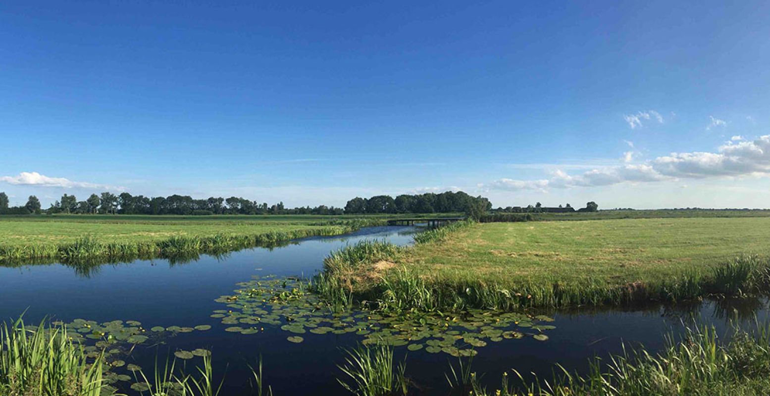 Lopen door de mooie Demmerikse polder. Op het Bellopad geniet je van weidse uitzichten over groen en water, maar slenter je ook langs een riviertje. Foto: Bellopad.nl