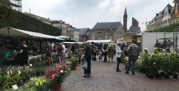 De leukste markten in juni Antiek, boeken, kleding, tierelantijntjes en planten vind je op deze markten in juni. Foto: DagjeWeg.NL ©