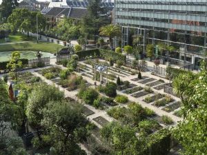 Hortus Botanicus Leiden 1 Review Dagjeweg Nl
