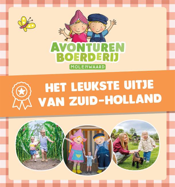 Beleef de leukste zomerse evenementen met Fien & Teun!