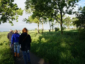 Wandeltocht met gids. Foto: Museum Wierdenland