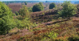 Met de gids op stap in Mei Met de gids op stap in Mei | Foto geüpload door gebruiker Natuurmonumenten.