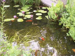 Samen op schattenjacht. Foto: Waterlijn Amersfoort