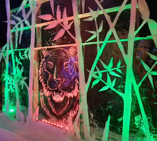 Nederlands IJsbeelden Festival Nederlands IJsbeelden Festival. Foto: DagjeWeg.NL