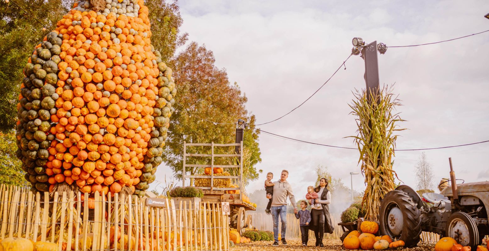 Bewonder gigantische creaties van pompoenen. Foto: Toverland