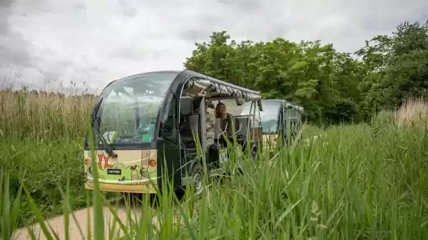 Ecokar in het Almeerderhout | Foto geüpload door gebruiker Staatsbosbeheer. Ecokar in het Almeerderhout | Foto geüpload door gebruiker Staatsbosbeheer.