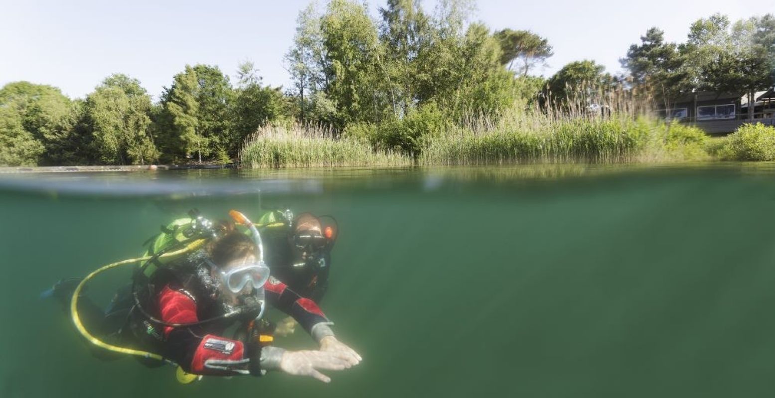 Maak kennis met de grootste meerval van Nederland in De Kempervennen. Foto: Ton Hurks Fotografie.