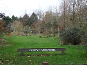 Het laagste arboretum ter wereld ligt vier meter onder Amsterdamse peil. Foto: DagjeWeg.NL