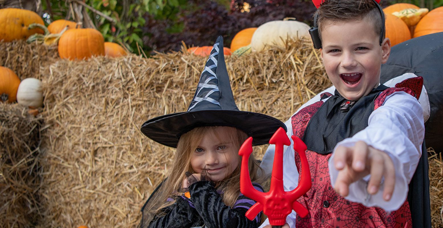 Beleef een griezelige dag in Avonturenpark Hellendoorn tijdens Heksendoorn. Foto: Avonturenpark Hellendoorn