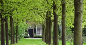 Ledendag Noord-Brabant en Rijk van Nijmegen Ledendag Noord-Brabant en Rijk van Nijmegen | Foto geüpload door gebruiker Natuurmonumenten.