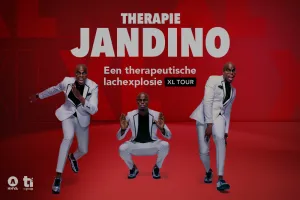 MAINSTAGE - Jandino Therapie XL Show Foto: BrabanthallenFoto geüpload door gebruiker.