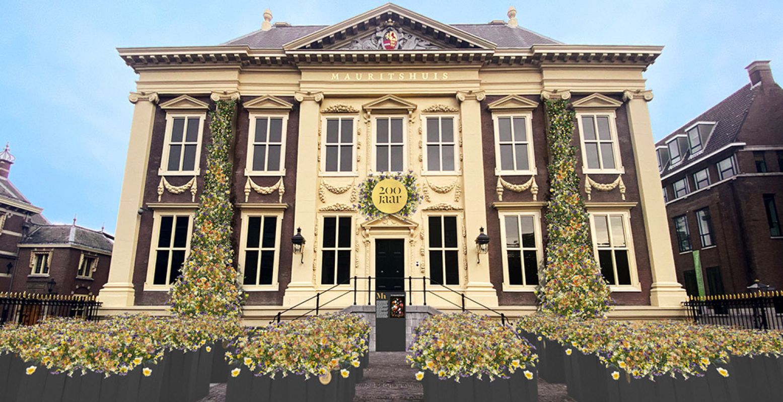 Het Mauritshuis viert haar 200-jarige jubileum in 2022 uitbundig. Zo veranderen het plein voor het museum en de gevel bijna het hele jaar in een kleurige bloemenzee. Foto: Artist impression Tom Postma Design Amsterdam