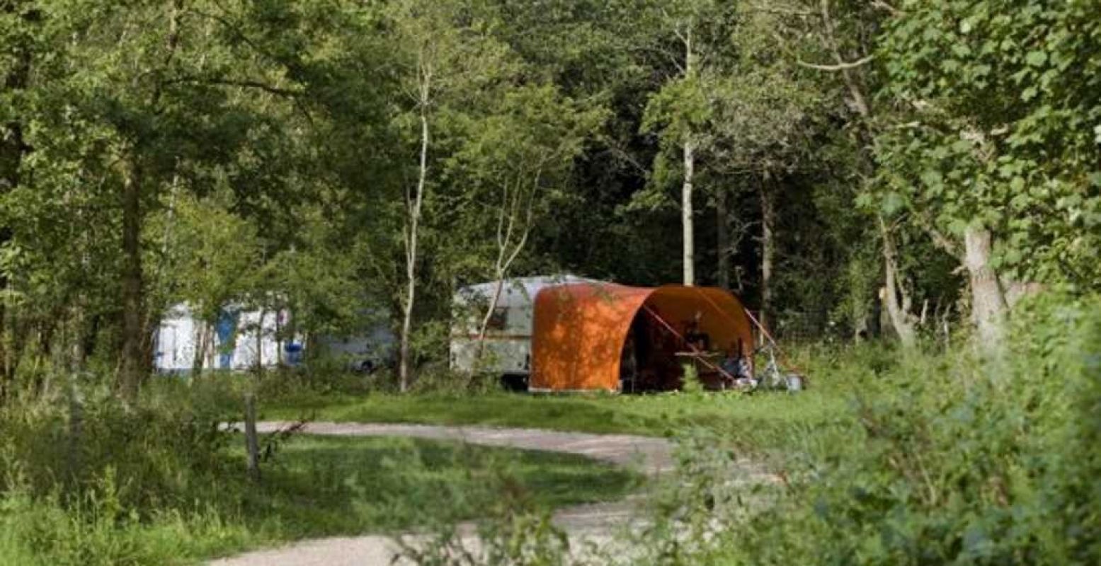 Kampeer vlak bij de duinen! Foto: Camping Geversduin