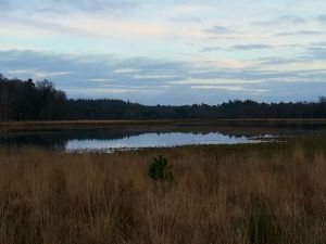 Wandeltocht Leersumse Plassen