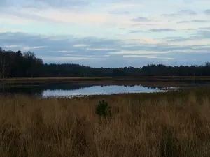 Wandeltocht Leersumse Plassen Foto: Jan van den Heuvel