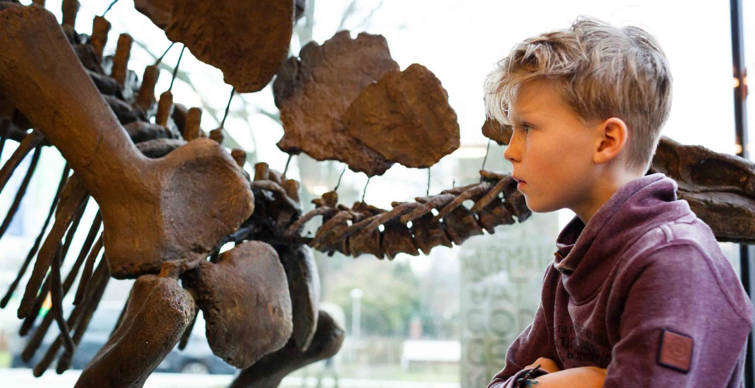 Bewonder fossielen en skeletten in Natura Docet. Foto: Museum Natura Docet Wonderryck © Fred Ernst