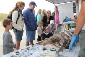 Zee evenement Fotograaf : IVN