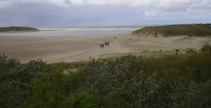 Uittip: zwerven door het mooie Zeeuws-Vlaanderen Wandelaars in natuurgebied Het Zwin bij Cadzand. Foto: Henk Arendse