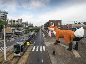 De Bospoldervos De Bospoldervos in Rotterdam-West. Foto: Studio Florentijn Hofman © Frank Hanswijk