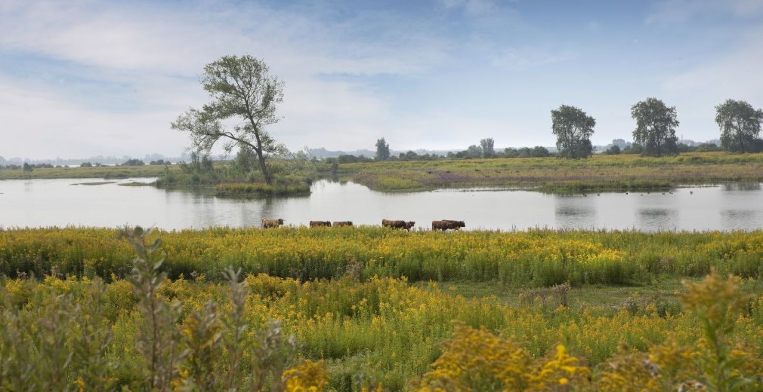 Rust en natuur op Tiengemeten! Foto: Natuurmonumenten © Pauline Joosten