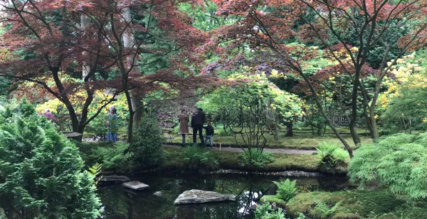 Japans paradijsje in Den Haag Een oase van rust, midden in een drukke stad. Foto: DagjeWeg.NL © Grytsje Anna Pietersma
