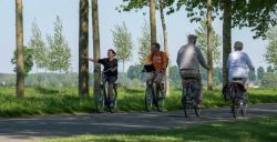 Ontdek de streken van Reynaert de vos per fiets