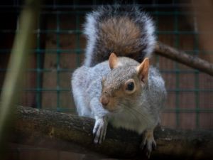 Dierenpark De Zonnegloed