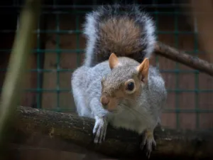 Foto: Dierenpark De Zonnegloed