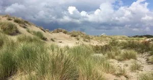 Winterse wandeling met snert door Voornes Duin Winterse wandeling met snert door Voornes DuinFoto geüpload door gebruiker Natuurmonumenten.