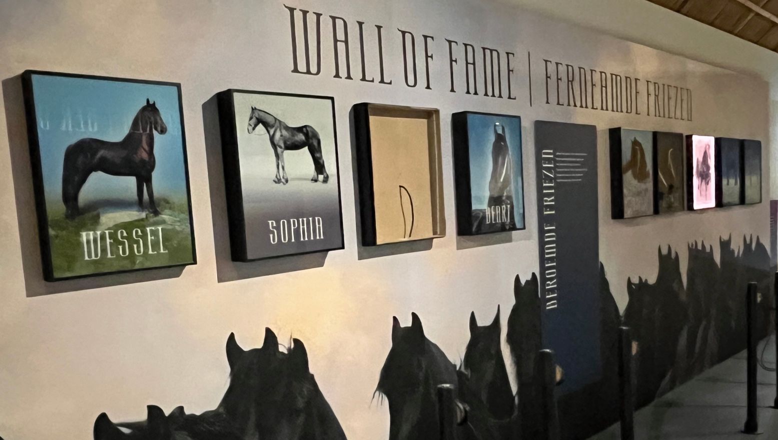 Herken jij toevallig een van deze bekende Friese paarden? Foto: Fries Landbouwmuseum Herken jij toevallig een van deze bekende Friese paarden? Foto: Fries Landbouwmuseum