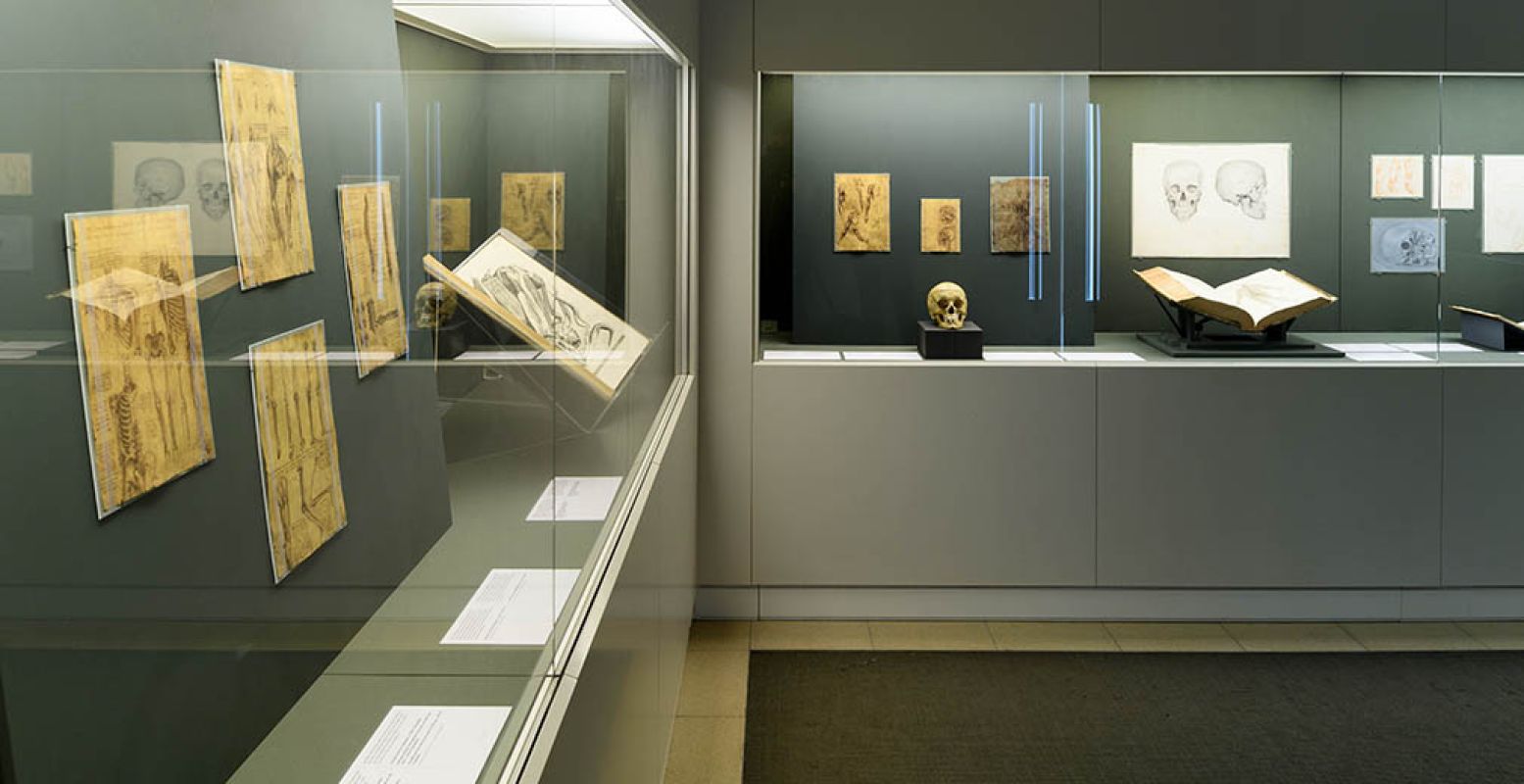 Overal door het museum kom je Leonardo da Vinci tegen als de grote wetenschapper die hij ook was. Zoals in het Boekenkabinet met publicaties uit de achttiende en negentiende eeuw die hebben geput uit zijn werk. Daarbij veel over anatomie. Foto: Teylers Museum