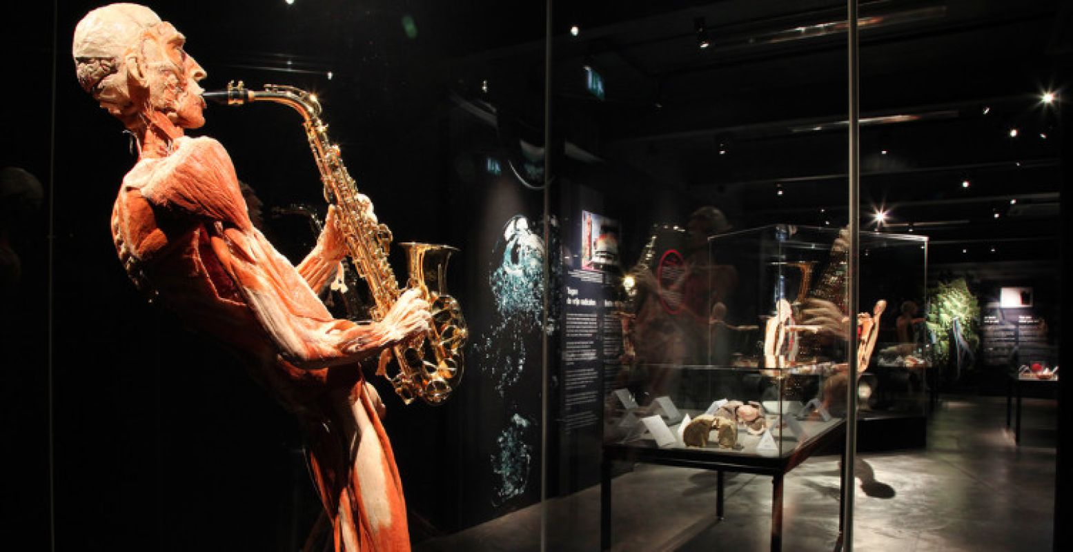 Tentoongesteld lichaam met saxofoon bij BODY WORLDS.