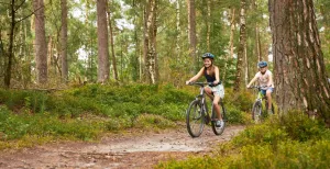Blijf slapen op de Veluwe Race door de bossen rond Epe vanaf RCN Vakantiepark de Jagerstee. Foto: Visit Veluwe