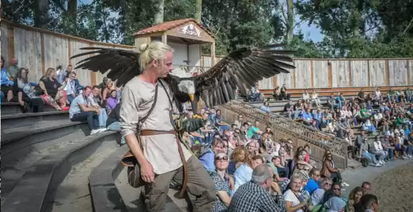 Vikingen, Romeinen en ridders: terug in de tijd tijdens Hemelvaart en Pinksteren Bekijk een gave roofvogelshow. Foto: Museumpark Archeon