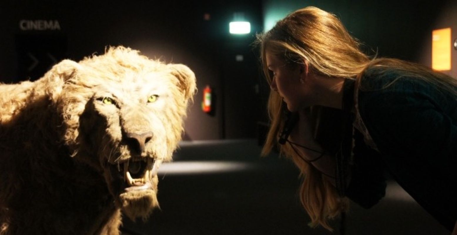 Sta oog in oog met een leeuw! Foto: DagjeWeg.nl