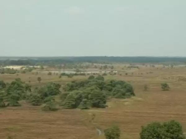 Uitzicht natuur Kalmthoutseheide - Foto: Grenspark Archief