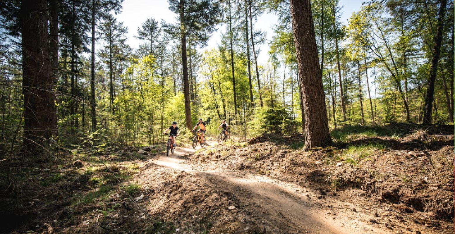 In Ede vind je de eerste mountainbikeroute speciaal voor kinderen. Foto: Toerisme Veluwe / Maarten Weij