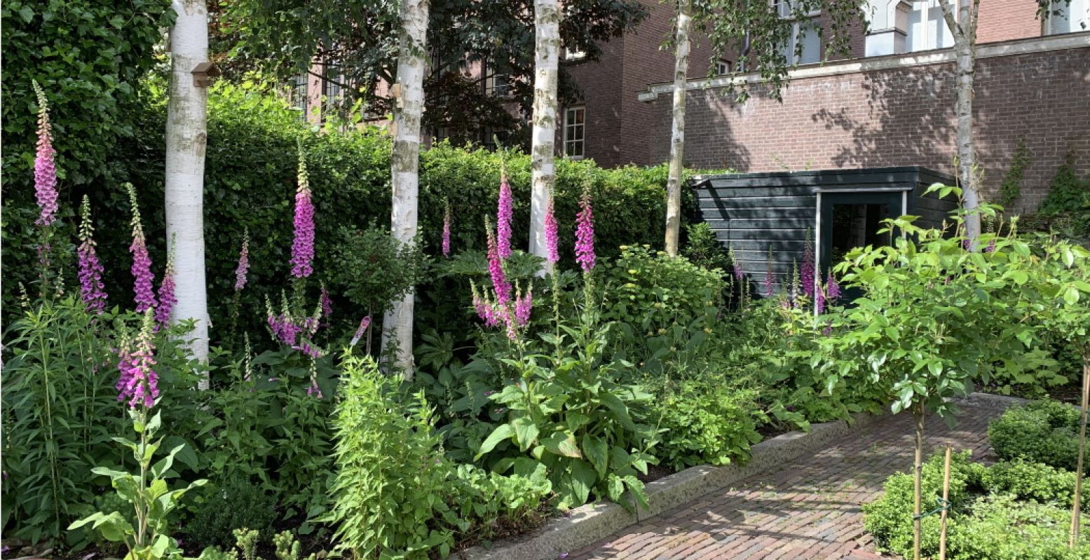 Het huis Pieterskerkhof 7 was oorspronkelijk een 18de-eeuwse koetshuis, paardenstal en tuinhuis. Kom kijken in deze mooie stadstuin! Foto: Open Tuinendag 2021