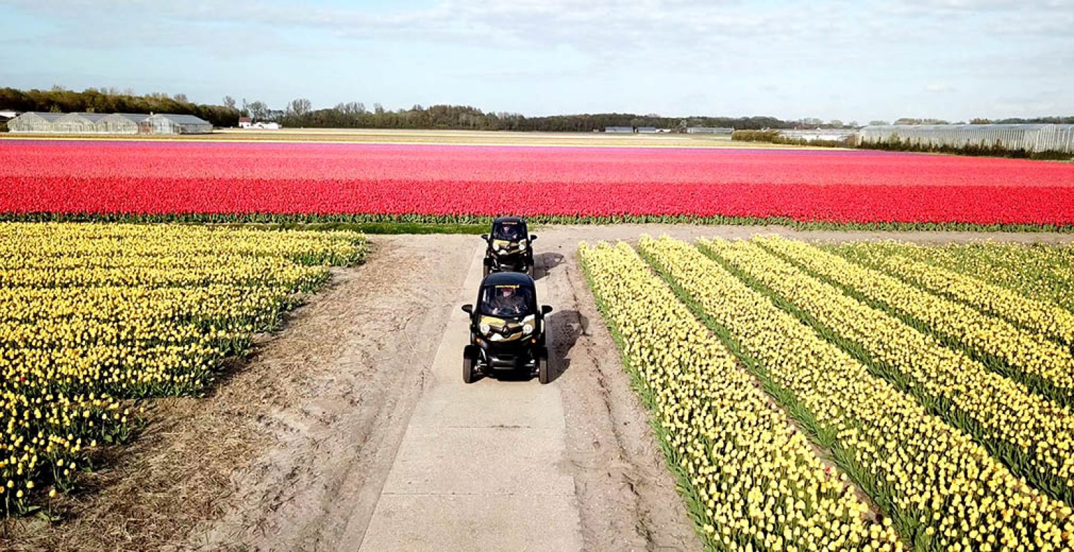 Samen toeren door het kleurrijke landschap in de Bollenstreek en natuurlijk foto's maken in de bloemenzee! Foto: Renzy.