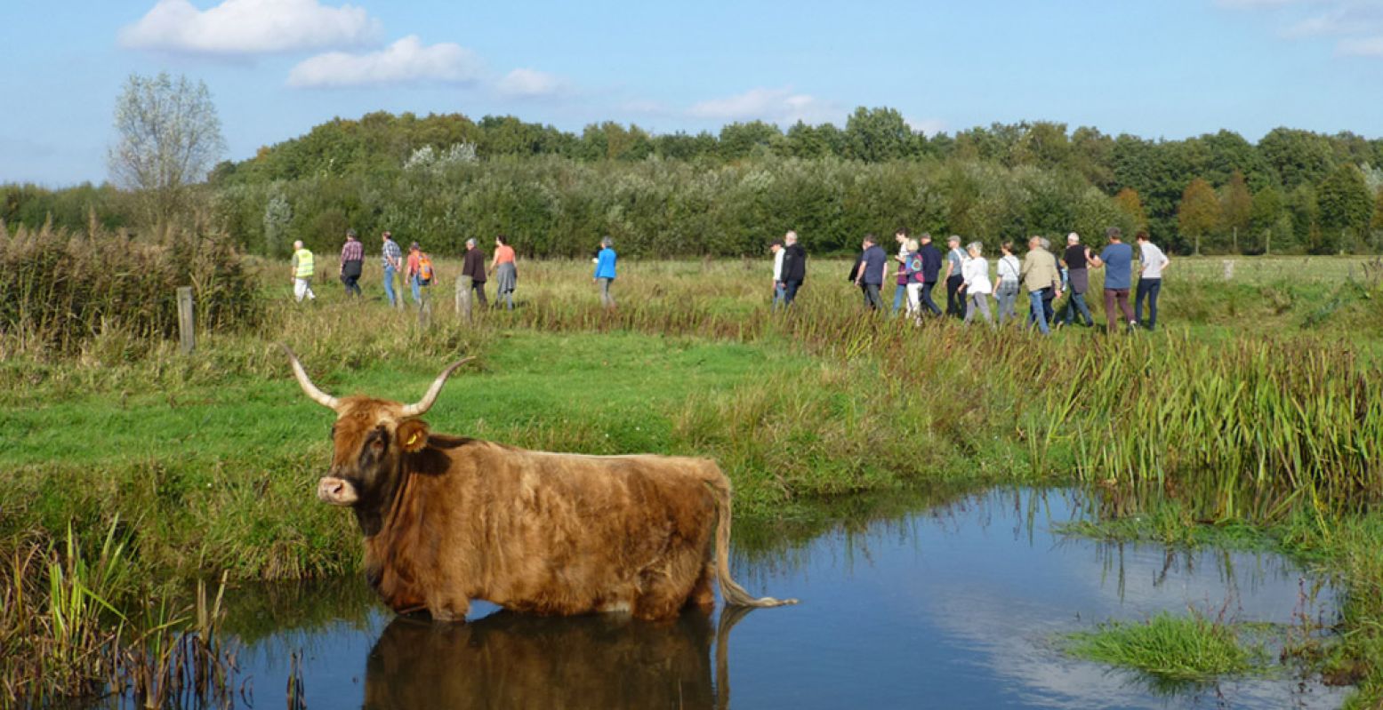 Volg een gids langs archeologische locaties. Foto: Nationale Archeologiedagen