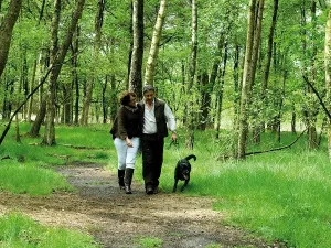 Wandelen in het groen rond het park.