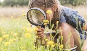 OERRR zomerpret bij de Berkenplas OERRR zomerpret bij de Berkenplas | Foto geüpload door gebruiker Natuurmonumenten.