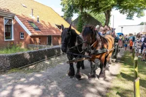 paardenkar. foto J.Menses paardenkar. foto J.Menses