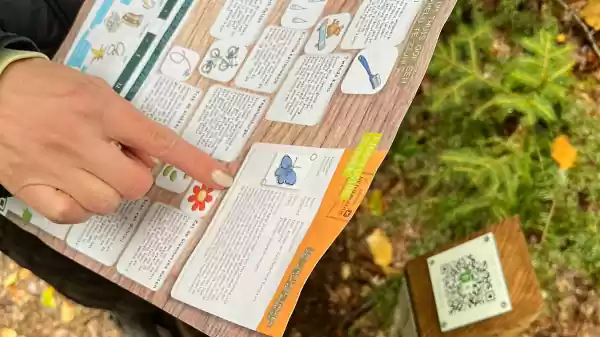code storm schoorlse duinen | Foto ge&uuml;pload door gebruiker Staatsbosbeheer.