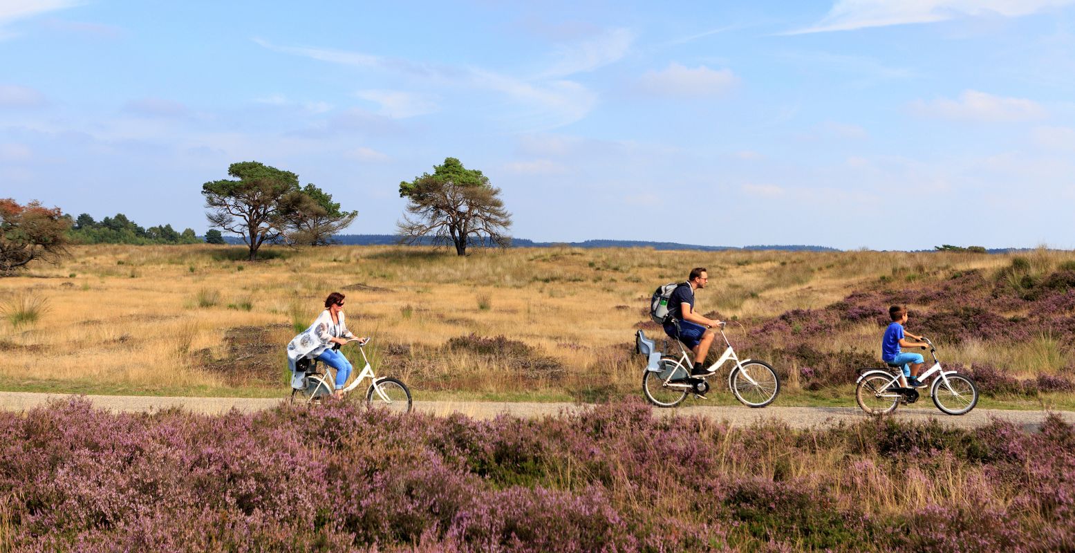 Trap jezelf over de Hoge Veluwe. Foto: © Photography Jurjen Drenth