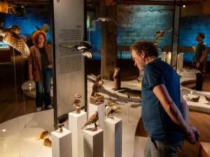 Museum De Bastei Ga mee op een reis door de historie van Nijmegen. Foto: Museum De Bastei