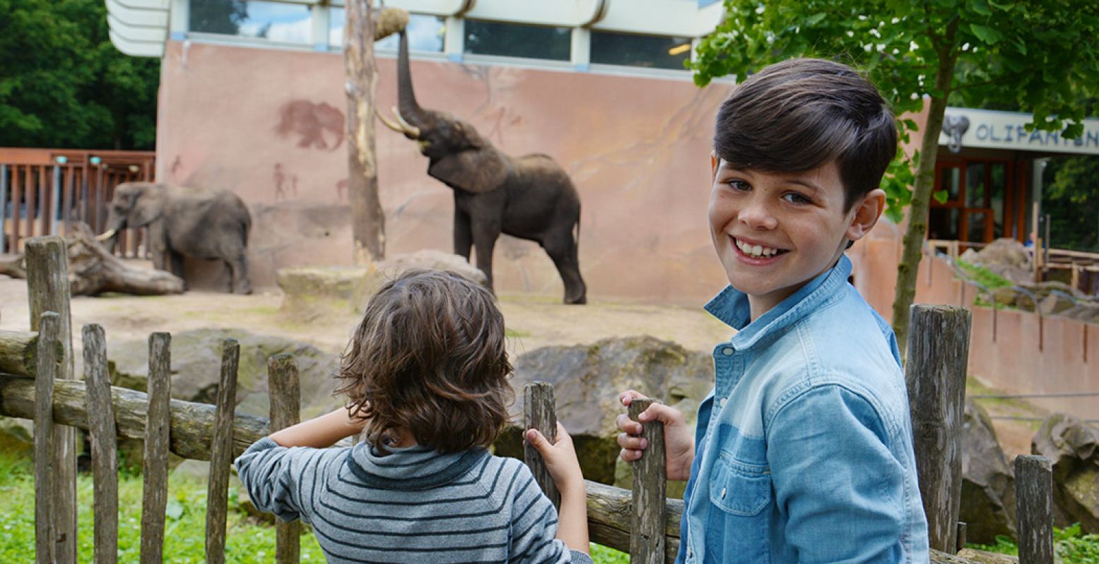 Weer op bezoek bij de dieren in de dierentuinen! Even kijken hoe het gaat met vrouwtjesolifant Duna in Ouwehands Dierenpark, die een baby verwacht. Foto: Ouwehands Dierenpark