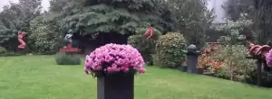Foto van AJ