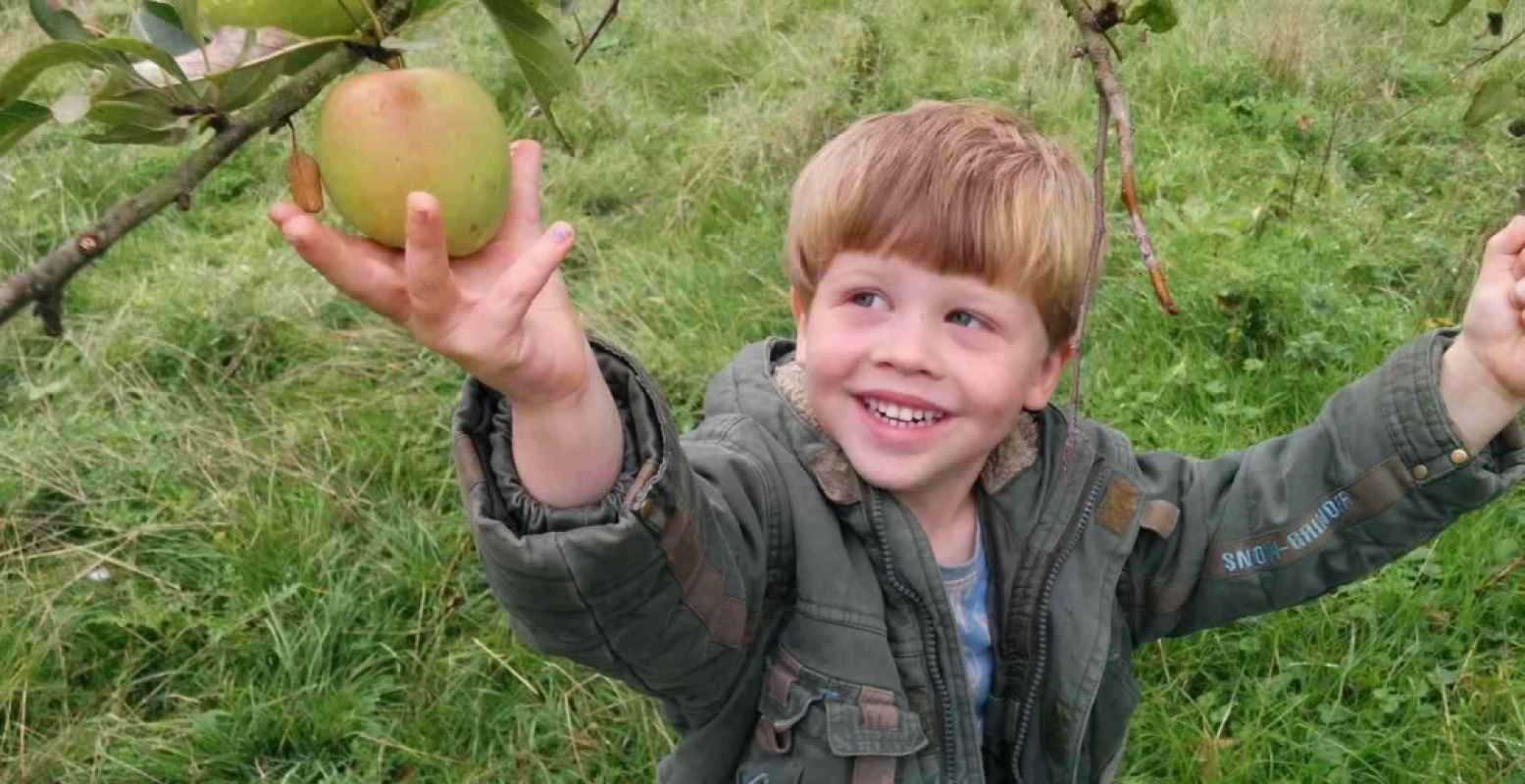 Gezellig samen appels plukken in de buurt. Foto: LandschappenNL.